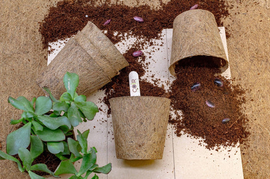 CoirProducts 10 Cm Coir Pots | Biodegradable Plant Pot | 600mL Volume - Pots - AllotMate Essentials - CP10 - 5060861940155