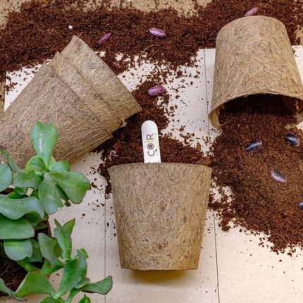 10cm Coir Plant Pots – 100% Biodegradable Pots & Peat-Free | Starter Pots