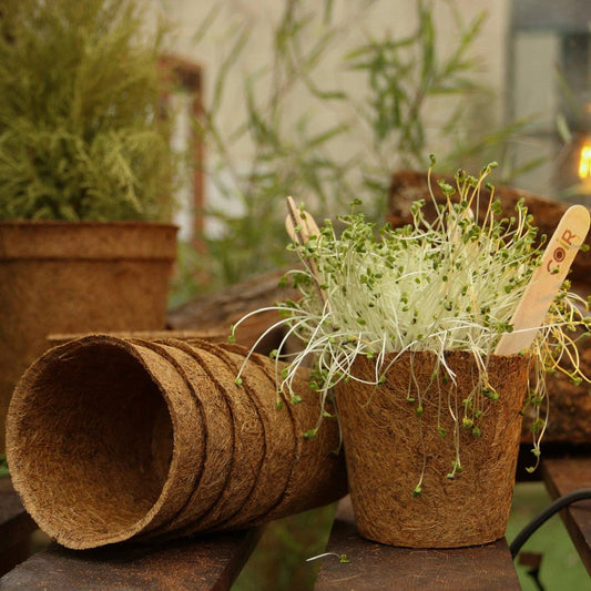 CoirProducts 13 cm Coir Pots | Plant Pots | 100% Biodegradable | 1 Ltr - Pots - AllotMate Essentials - CP13 - 5060861940162