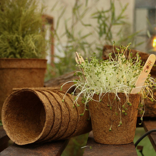 13cm Coir Plant Pots – 100% Biodegradable & Peat - Free 1L | Ideal for Sowing & Growing | Pots | CP13 5060861940162 | AllotMate Essentials