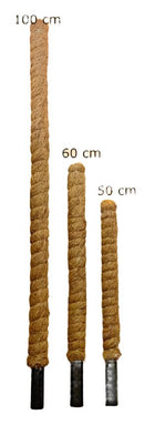Growpole Support Pole – Natural Coir Stake for Houseplants | CoirProducts