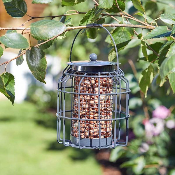 Compact Squirrel Proof Peanut Feeder, Guardian Cage Bird Feeder, 15cm High