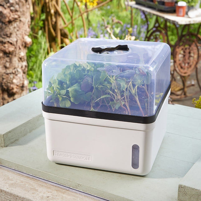 Perfect Propagator, Self Watering, 23 cm