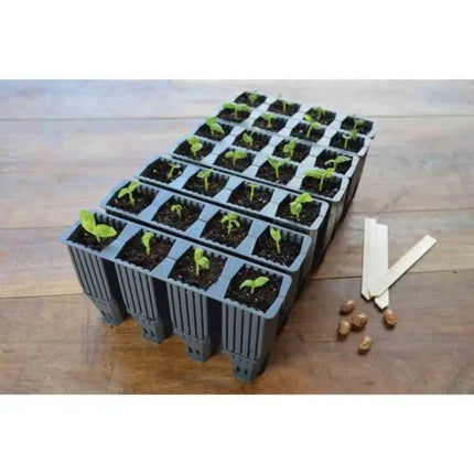 28 Cell Deep Root Success Kit – Propagation Tray for Long Rooted Plants | Garland | Unheated Propagation | G227 5031670004215 | AllotMate Essentials