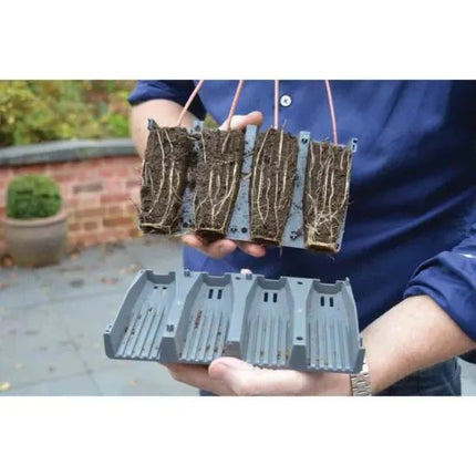 28 Cell Deep Root Success Kit – Propagation Tray for Long Rooted Plants | Garland | Unheated Propagation | G227 5031670004215 | AllotMate Essentials