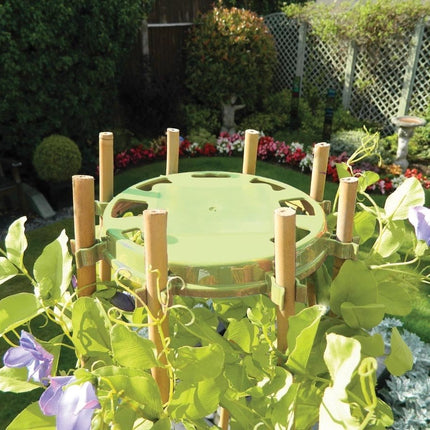 Bean & Pea Support Ring – Durable Metal Frame for Climbing Crops | Garland | Bean & Pea Ring | W2004 5031670520043 | AllotMate Essentials