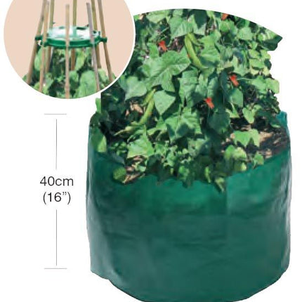 Garland Bean & Pea Bag with a free Bean & Pea Ring | Bean & Pea Planter | W0494 5031670504944 | AllotMate Essentials