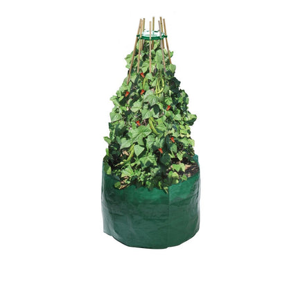 Garland Bean & Pea Bag with a free Bean & Pea Ring | Bean & Pea Planter | W0494 5031670504944 | AllotMate Essentials