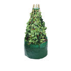 Garland Bean & Pea Bag with a free Bean & Pea Ring | Bean & Pea Planter | W0494 5031670504944 | AllotMate Essentials