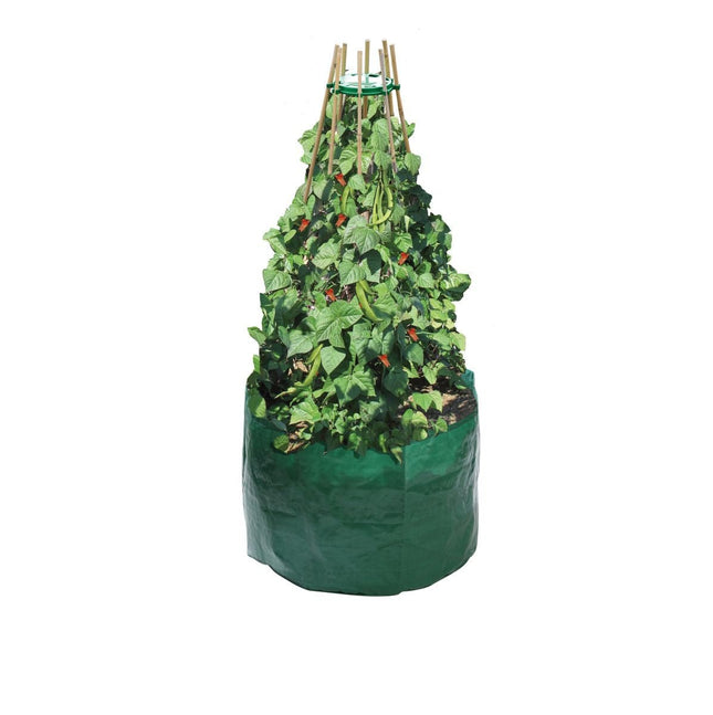 Garland Bean & Pea Bag with a free Bean & Pea Ring | Bean & Pea Planter | W0494 5031670504944 | AllotMate Essentials