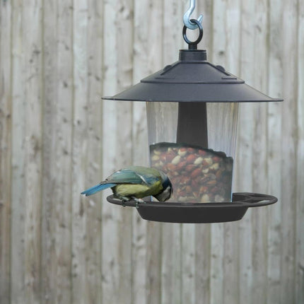 Lantern Bird Seed & Nut Feeder – Hanging Feeder for Wild Birds | Garland | Bird Feeder | W2074 5031670520746 | AllotMate Essentials