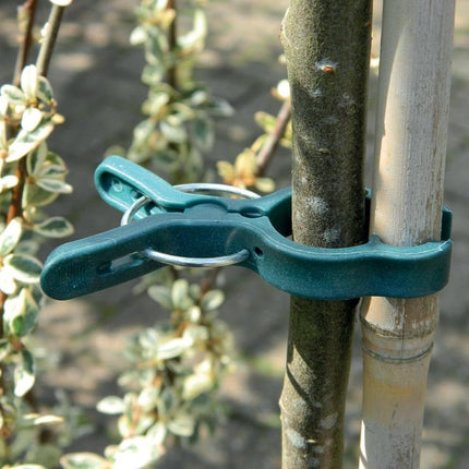 Large Spring Plant Clips – Gentle Stem Support Clips (Pack of 5) | Garland | Plant Clips | W1812 5031670518125 | AllotMate Essentials