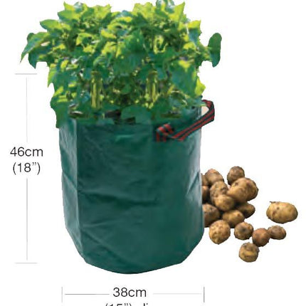 Potato Grow Bag – Reusable Sack for Patio Crops | Garland | Potato Planter | W0490 5031670504906 | AllotMate Essentials