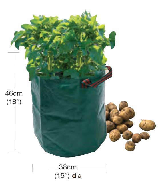 Potato Grow Bag – Reusable Sack for Patio Crops | Garland | Potato Planter | W0490 5031670504906 | AllotMate Essentials