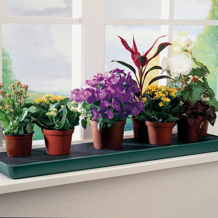 Self - Watering Windowsill Plant Tray – Compact Indoor Growing Tray | Garland | Windowsill Tray | G71 5031670001931 | AllotMate Essentials