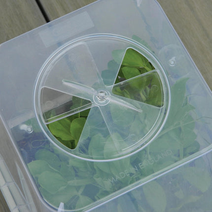 25cm Square Cloche Cover – Mini Greenhouse for Seedlings | Garland | Cloche | G258 5031670004437 | AllotMate Essentials