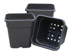 Square Tom Pots – Durable Plastic Pots for Tomatoes & Veg | Garland | Pots | G254B 5031670004222 | AllotMate Essentials