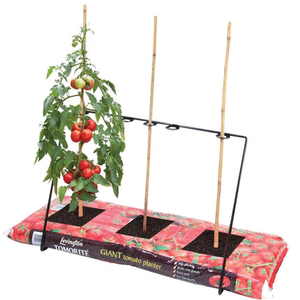 Grow Bag Frame – Support Frame for Tomatoes & Climbing Plants | Garland | Grow Bag Frame | W0458 5031670504586 | AllotMate Essentials
