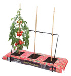 Grow Bag Frame – Support Frame for Tomatoes & Climbing Plants | Garland | Grow Bag Frame | W0458 5031670504586 | AllotMate Essentials