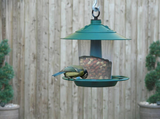 Garland Lantern Bird Seed & Nut Feeder is - Bird Feeder - AllotMate Essentials - W2070 - 5031670520708