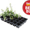 Professional 24 Cell Inserts (Pack of 5) – Propagation Tray Inserts | Garland | Unheated Propagation | W0014 5031670500144 | AllotMate Essentials