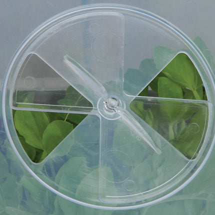 Square Cloche Cover 32cm – Recycled Plastic Cold Frame for Ground Protection | Garland | Cloche | G285 5031670004604 | AllotMate Essentials