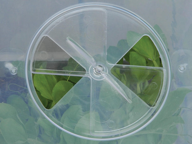 Square Cloche Cover 32cm – Recycled Plastic Cold Frame for Ground Protection | Garland | Cloche | G285 5031670004604 | AllotMate Essentials