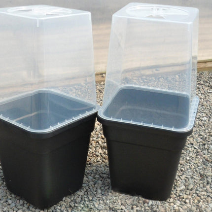 25cm Square Cloche Cover – Mini Greenhouse for Seedlings | Garland | Cloche | G258 5031670004437 | AllotMate Essentials