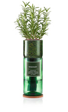 Hydro-Herb – Rosemary Growing Kit in Recycled Wine Bottle | Indoor Hydroponic Herb Garden