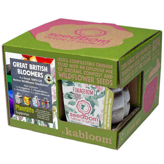 Kabloom Great British Bloomers 4 Pack Seedbom Gift Set - Wildflowers - AllotMate Essentials - GB0151 - 92320274