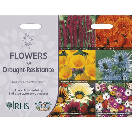 RHS Flowers for Drought Resistance Seed Collection 6 Heat Tolerant Varieties