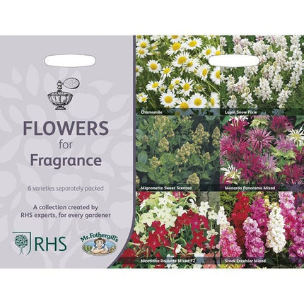 RHS Flowers for Fragrance Seed Collection 6 Scented Varieties