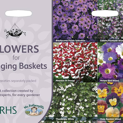 RHS Flowers for Hanging Baskets Seed Collection 6 Trailing Varieties