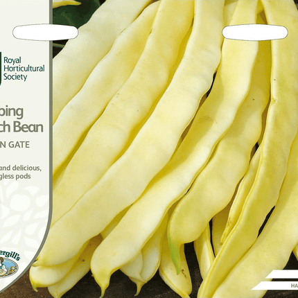 RHS Climbing French Bean Golden Gate Seeds