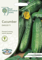 RHS CUCUMBER Emilie F1