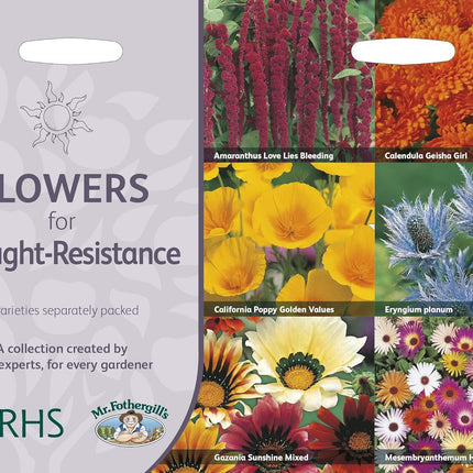 RHS Flowers for Drought Resistance Seed Collection 6 Heat Tolerant Varieties