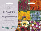 RHS Flowers for Drought Resistance Seed Collection 6 Heat Tolerant Varieties