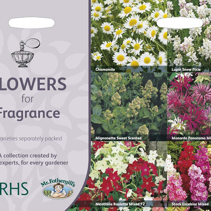 RHS Flowers for Fragrance Seed Collection 6 Scented Varieties