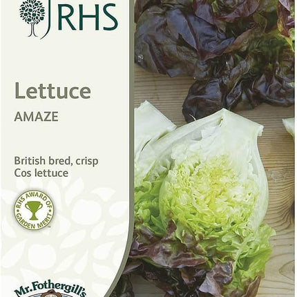 RHS LETTUCE Amaze