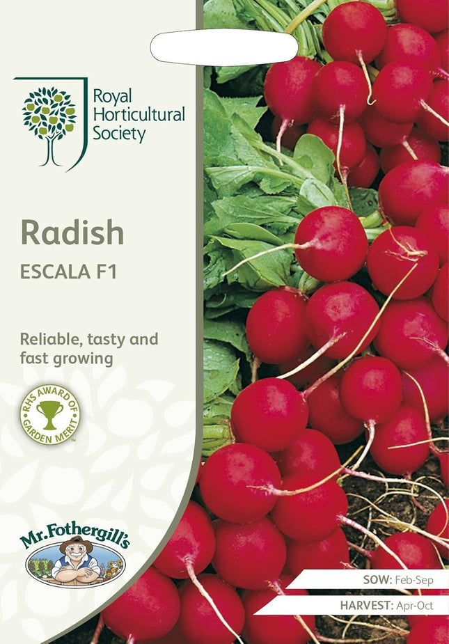 RHS RADISH Escala F1