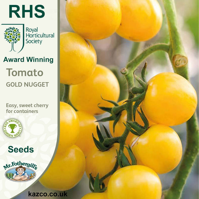 RHS Tomato Cherry Gold Nugget, 20 Seeds