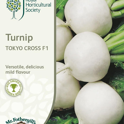 Mr Fothergill’s RHS Turnip Tokyo Cross F1 Seeds 500 Seeds, Award Winning Fast Growing White Turnip