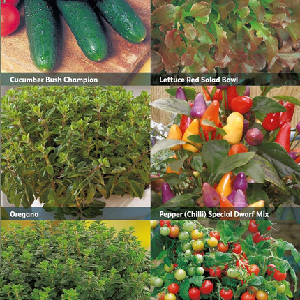 RHS Vegetables for a Vertical Garden Vegetable Seeds Collection 6 Compact Varieties
