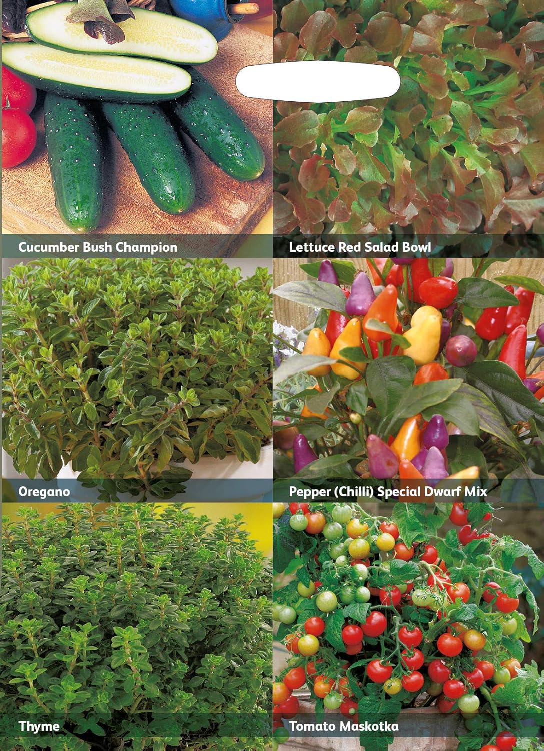 Now Rhs RHS Vegetables for a Vertical Garden Vegetable Seeds Collection 6 Comp ...