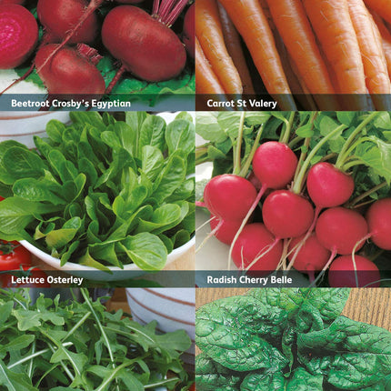 RHS Vegetables for Easy Growing Collection 6 Varieties, Curated Vegetable Seeds for Simple and Reliable Cropping
