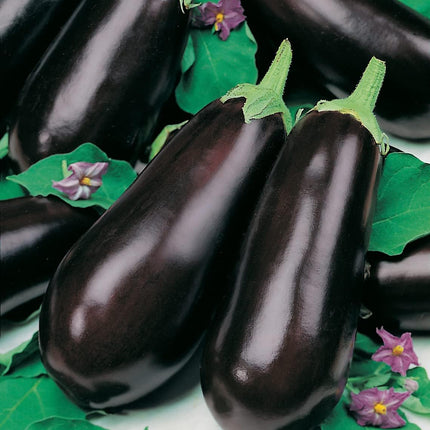 RHS Vegetables for Heirloom Crops Vegetable Seeds Collection 6 Traditional Varieties