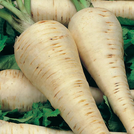 RHS Vegetables for Heirloom Crops Vegetable Seeds Collection 6 Traditional Varieties