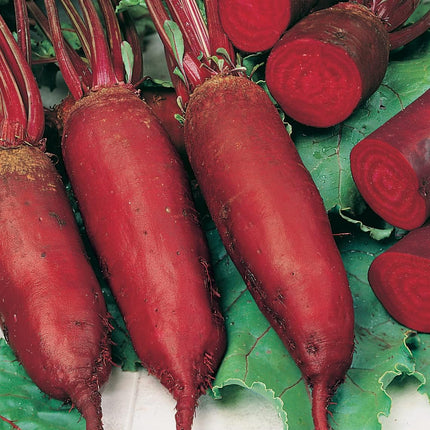 RHS Vegetables for Heirloom Crops Vegetable Seeds Collection 6 Traditional Varieties