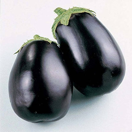 RHS Vegetables from Italy Vegetable Seeds Collection 6 Authentic Italian Varieties