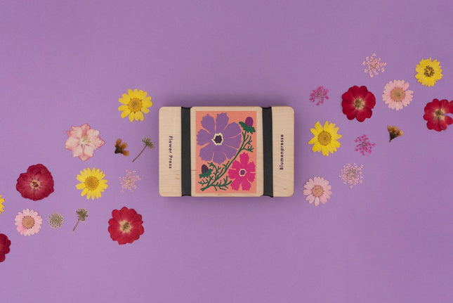 Pocket Flower Press – Cosmos Floral Design for Nature Pressing | Studio Wald | Flower Press Kit | BPPC | AllotMate Essentials